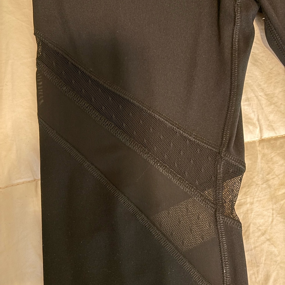 Gottex Sheer Panel Leggings